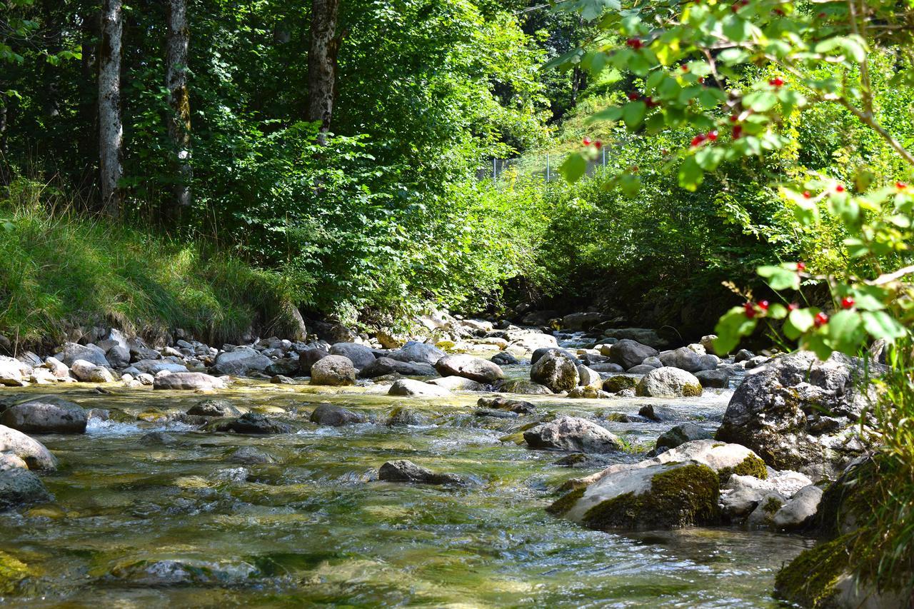 Hotel Kronenhirsch Russbach am Pass Gschütt Kültér fotó